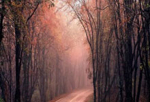 乐鱼体育官网网页版-英超霸主惨遭亚洲鱼腩羞辱！国足神秘力量改写世界杯资本棋局