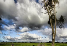 leyu乐鱼体育-法兰西之剑出鞘！NBA双星绞杀西班牙王朝