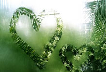 乐鱼官方网站-蒙特雷新援适应良好，世俱杯表现备受期待