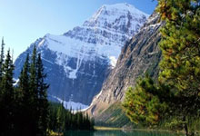 乐鱼在线娱乐-王座动摇！杜兰特奥运滑铁卢背后的时代密码