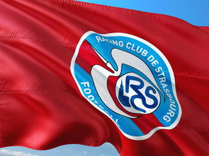 乐鱼官方网站-帕尔梅拉斯进攻端火力强劲，欲破西悉尼流浪者防线