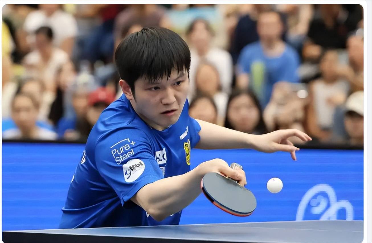 法国乒乓球队爆冷韩国乒乓球队，樊振东惊艳世界的简单介绍